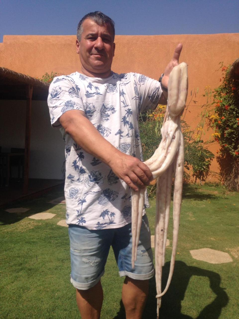 Terra Lodge Senegal M'Bour Exteriör bild