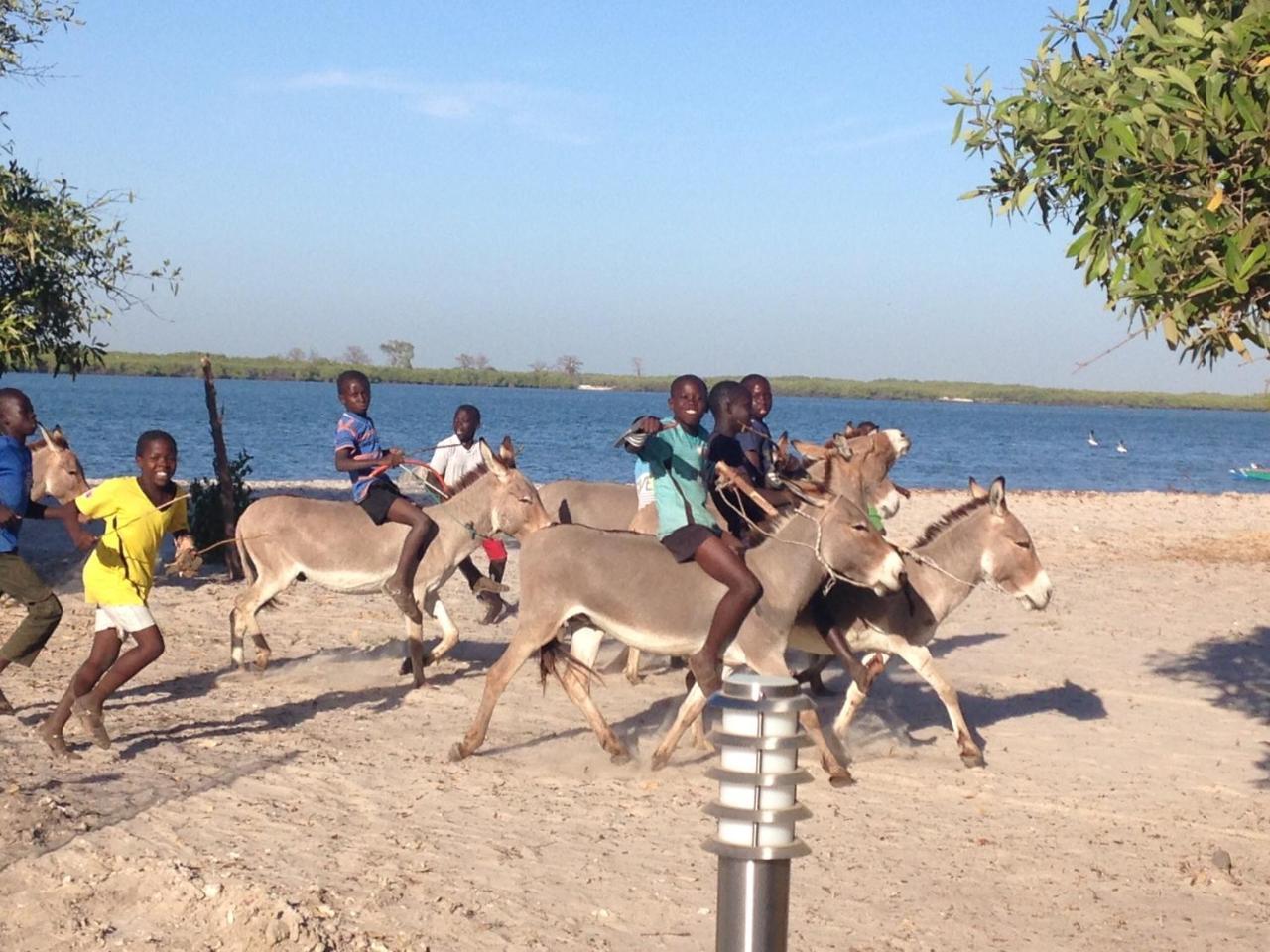 Terra Lodge Senegal M'Bour Exteriör bild