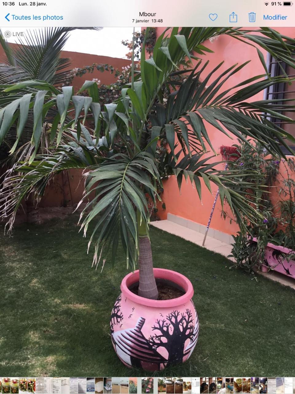 Terra Lodge Senegal M'Bour Exteriör bild