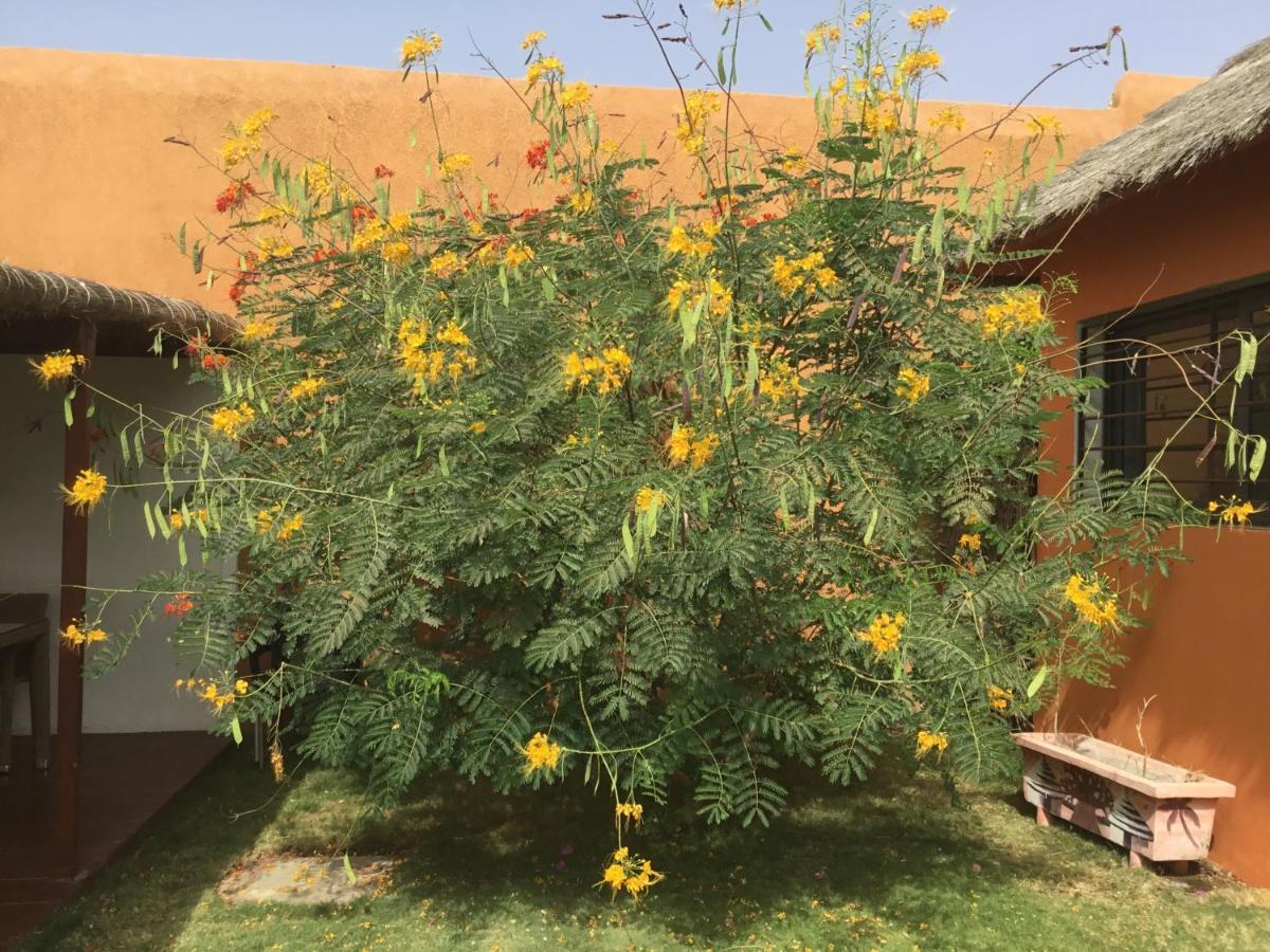 Terra Lodge Senegal M'Bour Exteriör bild